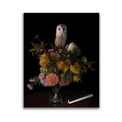 The Blackened Teeth Sales -The Blackened Teeth Sales SQUARE5