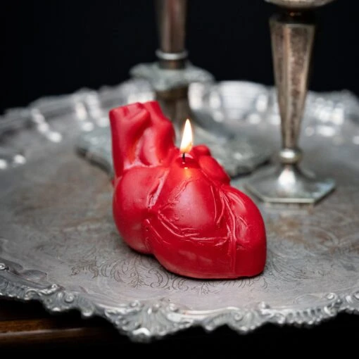 Anatomical Heart Candle -The Blackened Teeth Sales anatomical heart candle the blackened teeth gothic
