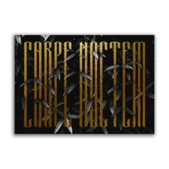 Carpe Noctem - Black & Gold Print -The Blackened Teeth Sales carpe noctem square