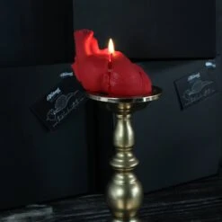 Anatomy Candles Gift Box 10 Anatomy Candles Gift Box -The Blackened Teeth Sales heart candle the blackened heart