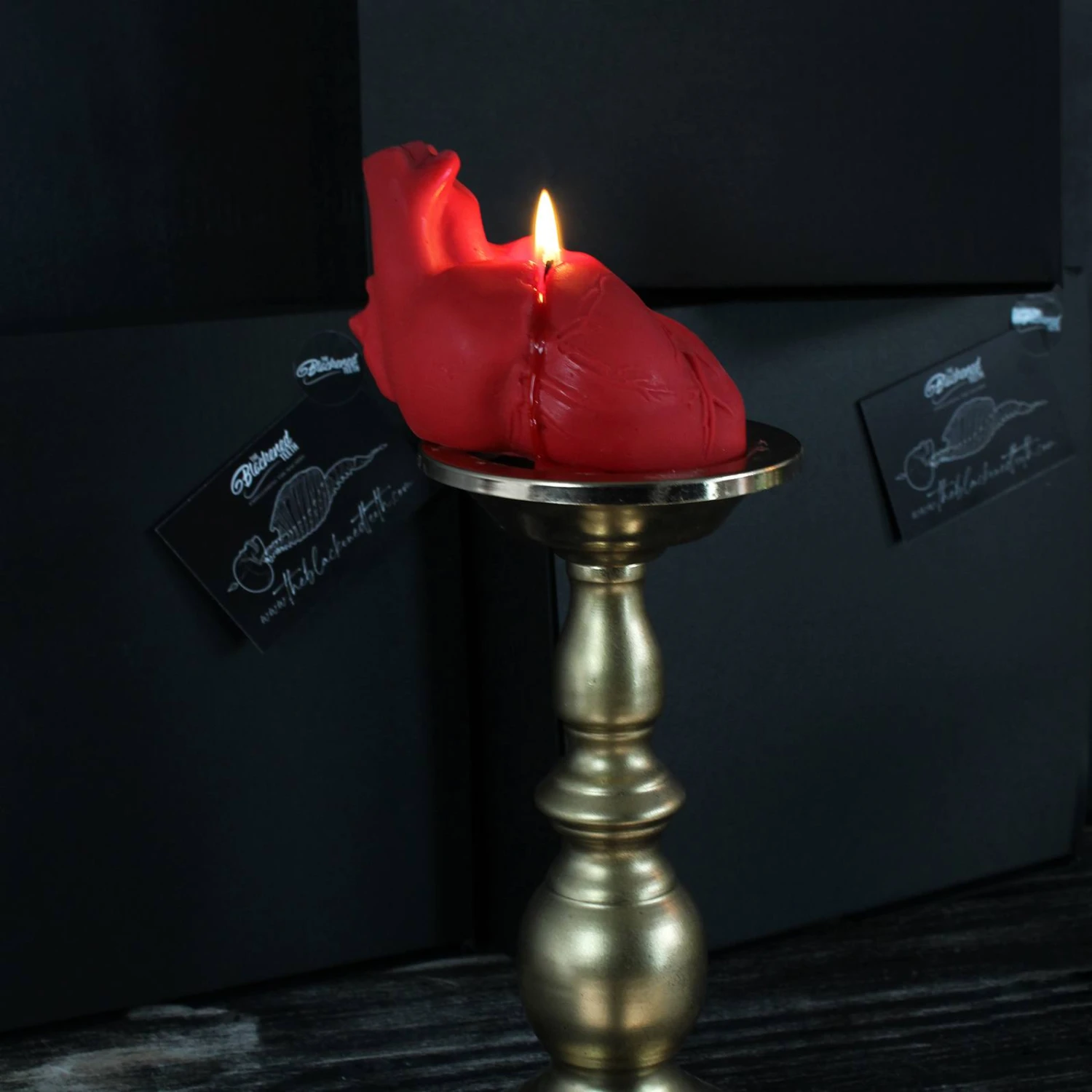 Anatomy Candles Gift Box 5 Anatomy Candles Gift Box - Image 5