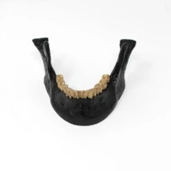 Jaw Card Holder -The Blackened Teeth Sales jaw card holder blk gt 1