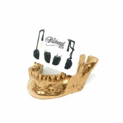 Jaw Card Holder -The Blackened Teeth Sales jaw card holder the blackened teeth 3 1296x d0ae0579 5fc5 438b b866 d79ca2d98dd3