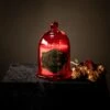 Love Potion - Cloche Jar Candle