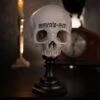 Skull Of Jane Doe Plinth - Memento Mori Edition