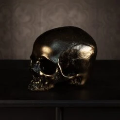 Skull Of Jane Doe Ornament - Blackened Gold 7 Skull Of Jane Doe Ornament - Blackened Gold -The Blackened Teeth Sales replica human skull ornament the blackened teeth g 2