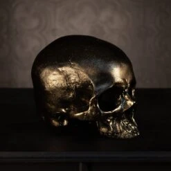 Skull Of Jane Doe Ornament - Blackened Gold 6 Skull Of Jane Doe Ornament - Blackened Gold -The Blackened Teeth Sales replica human skull ornament the blackened teeth g