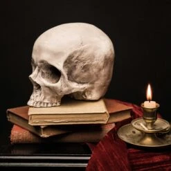 Skull Of Jane Doe Ornament - Natural -The Blackened Teeth Sales skull of jane doe ornament the blackened teeth 2