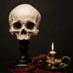 Skull Of Jane Doe Replica Plinth