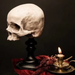 The Blackened Teeth Sales -The Blackened Teeth Sales skull of jane doe plinth the blackened teeth gothic home decor 4