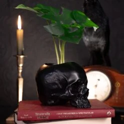 Jane Doe Skull Pot -The Blackened Teeth Sales skull plant pen pot the blackened teeth gothic home decor 1