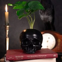 Jane Doe Skull Pot -The Blackened Teeth Sales skull plant pen pot the blackened teeth gothic home decor 2