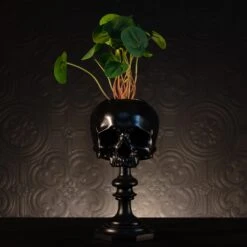 Skull Of Jane Doe Pot Plinth - Black
