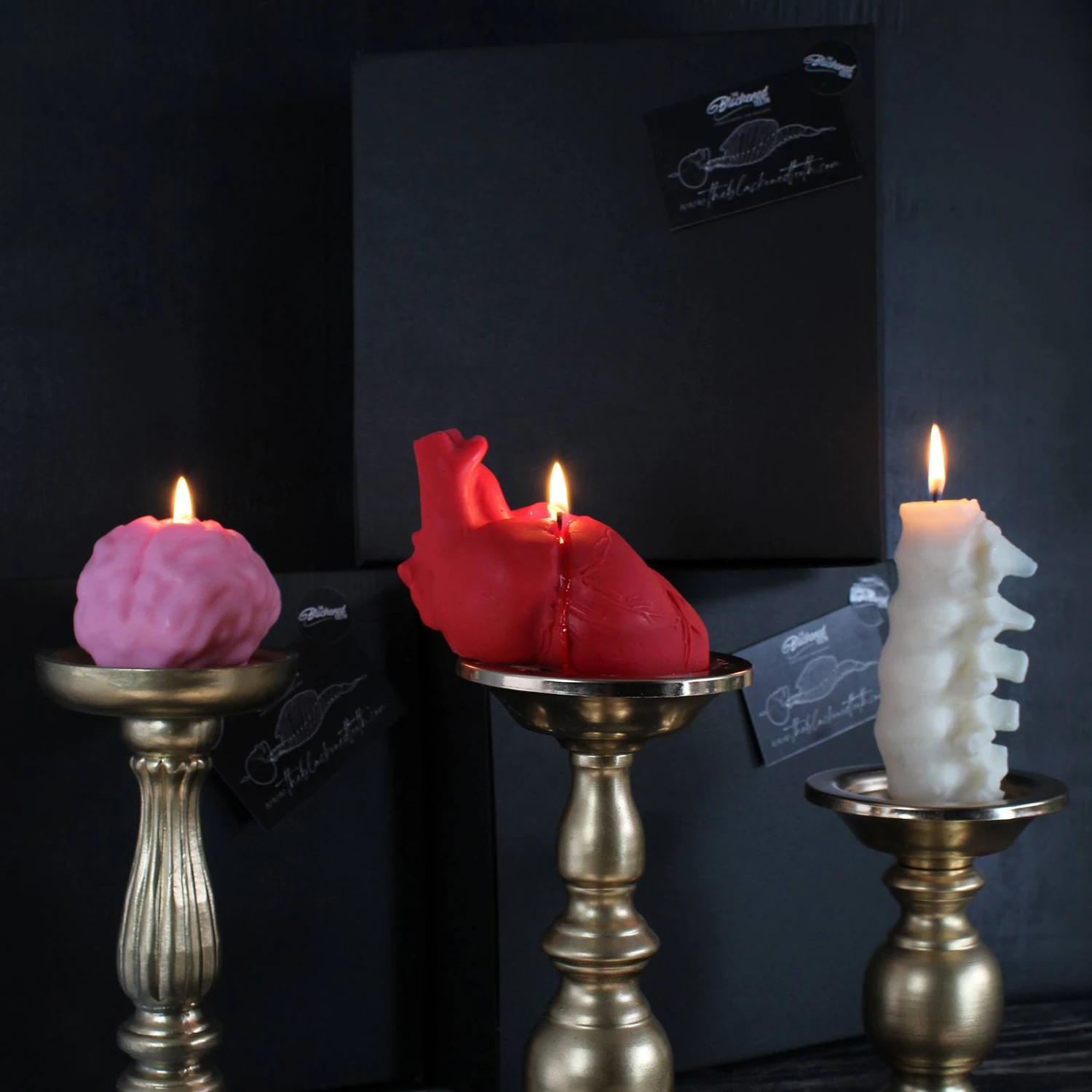 Anatomy Candles Gift Box 1 Anatomy Candles Gift Box