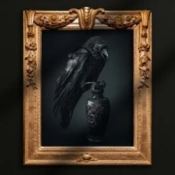 The Raven's Sorrow - Fine Art Photography Print