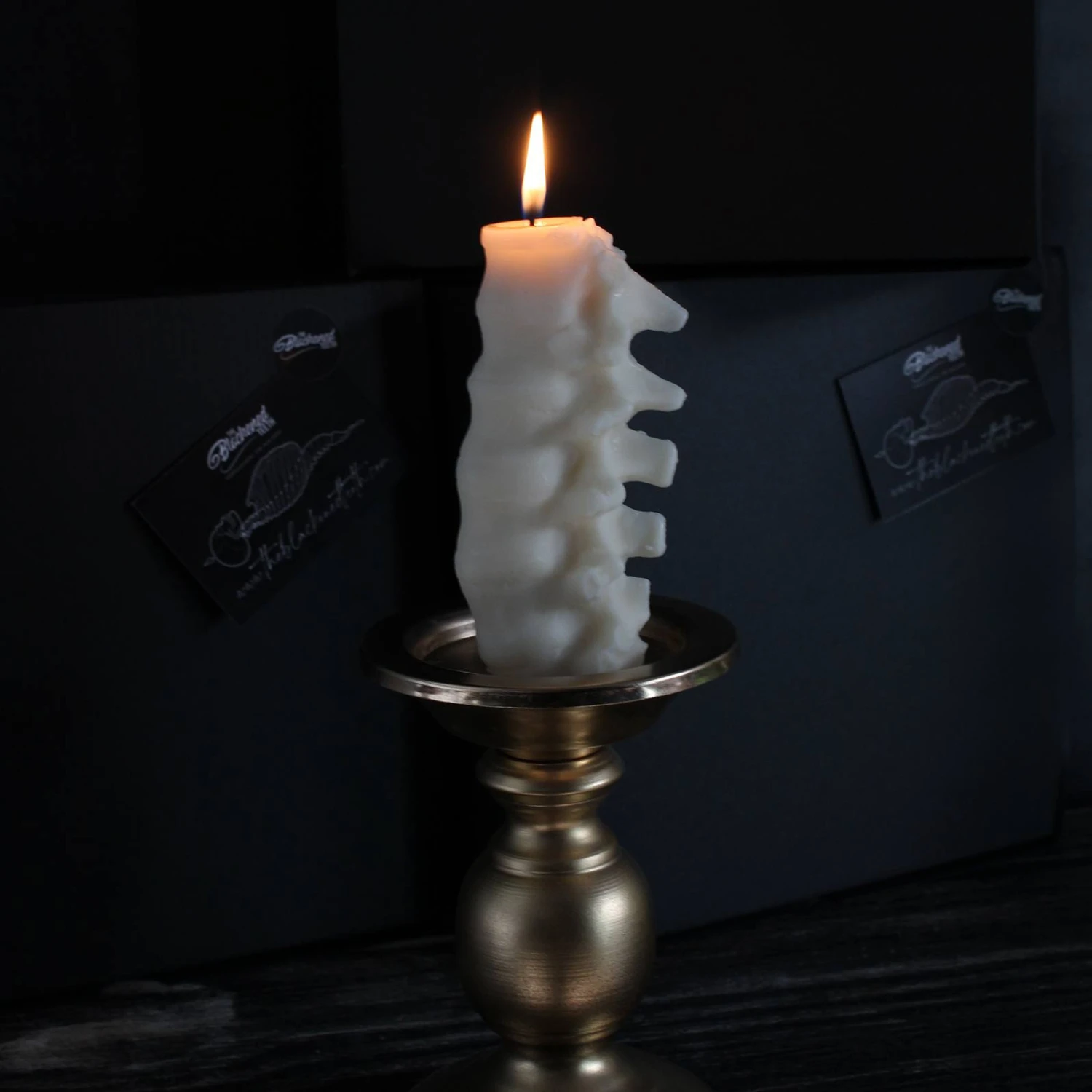 Anatomy Candles Gift Box 6 Anatomy Candles Gift Box - Image 6